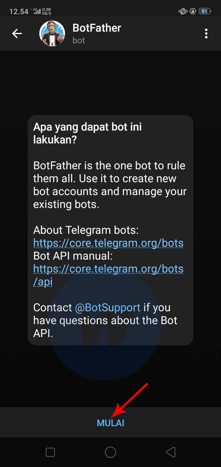 Klik Mulai Bot Telegram