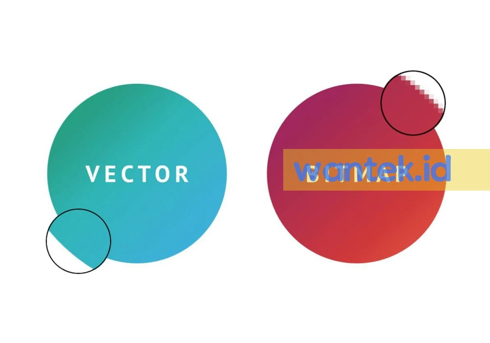 7 Perbedaan Vektor dan Bitmap Desainer Grafis Harus Bisa Membedakan