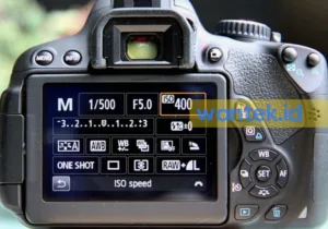 Penting 3 Fungsi ISO Pada Kamera dan Cara Setting ISO yang Benar